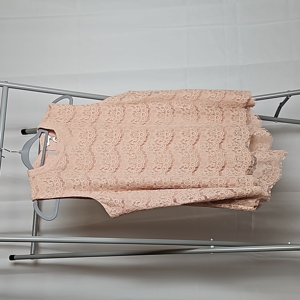 Rose + Olive Blush Lace Blouse